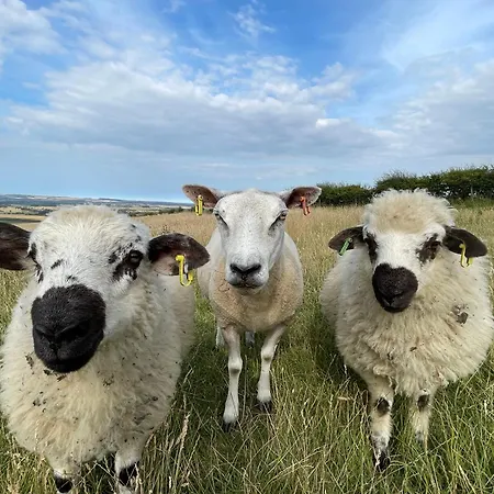 Apartamento Glamping Pod - Vale View East Heslerton